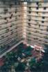 pic350085_small.jpg
