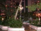 pic350116_small.jpg