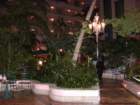 pic350117_small.jpg